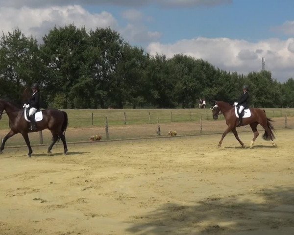 Reitturnier Neuss-Uedesheim 2018