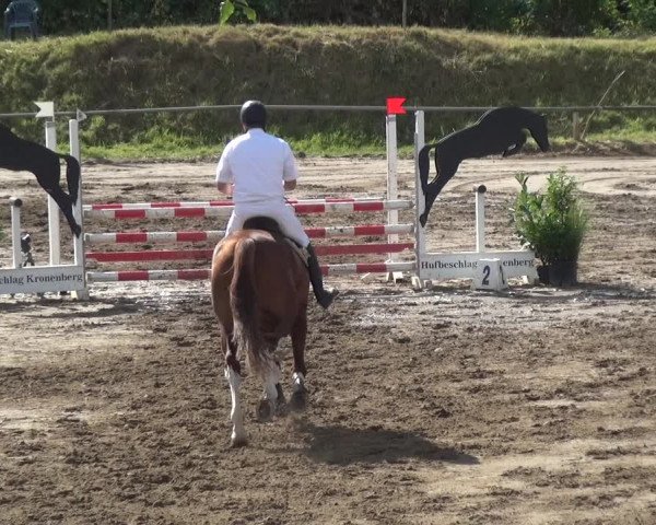 Reitturnier Neuss-Uedesheim 2018