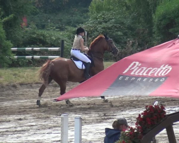 Reitturnier Neuss-Uedesheim 2018