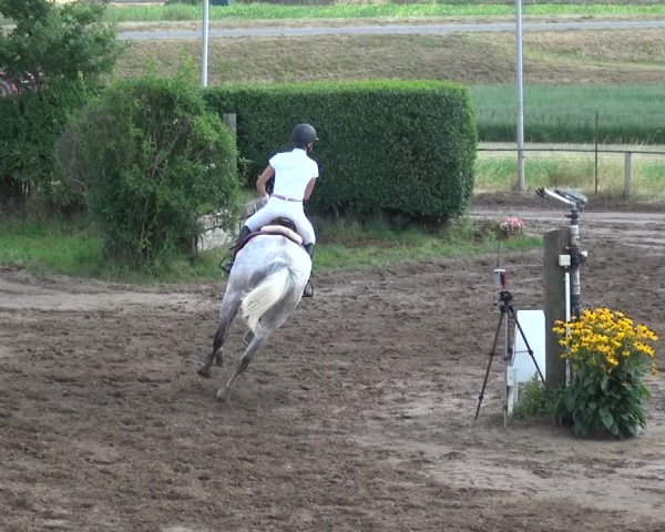 Reitturnier Neuss-Uedesheim 2018