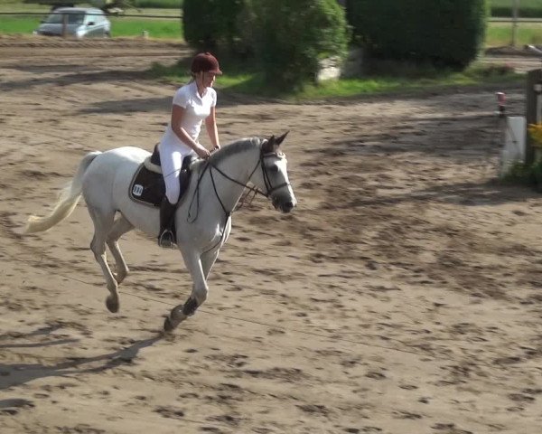 Reitturnier Neuss-Uedesheim 2018