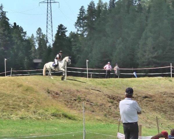 Sommer Concours Hippique St. Moritz 2018