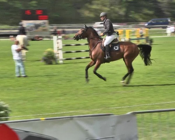 Sommer Concours Hippique St. Moritz 2018