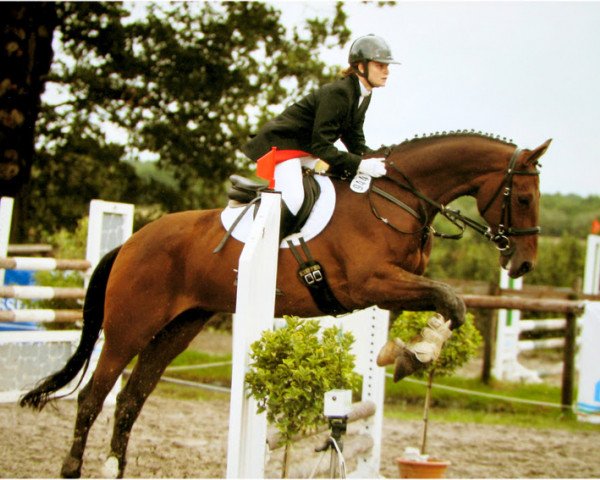 horse Dino L (Westphalian, 1993, from Dinard L)