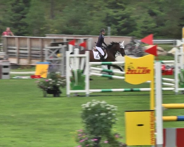 Sommer Concours Hippique St. Moritz 2018