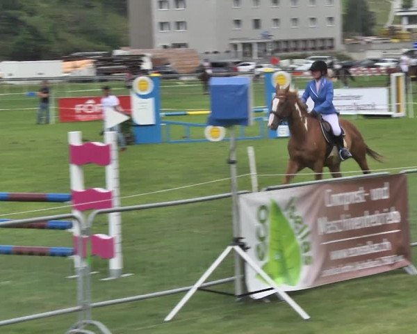 Sommer Concours Hippique St. Moritz 2018