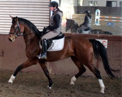 broodmare Franziska F (Hanoverian, 2013, from Fidertanz)