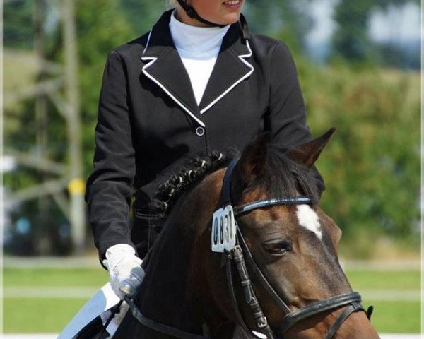 Springpferd Benny (Deutsches Reitpony, 1992, von Black Boy)