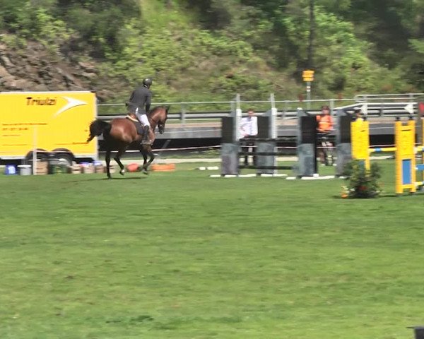 Sommer Concours Hippique St. Moritz 2018