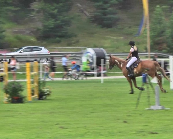 Sommer Concours Hippique St. Moritz 2018