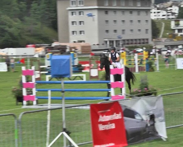 Sommer Concours Hippique St. Moritz 2018