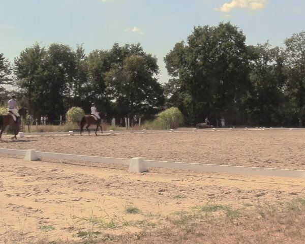 Reitturnier Olfen-Vinnum 2018
