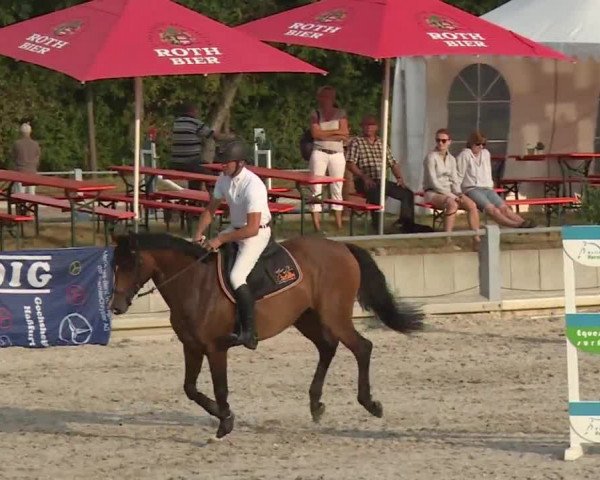 Reitturnier Grafenrheinfeld 2018