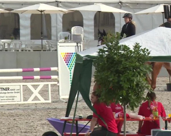Reitturnier Grafenrheinfeld 2018