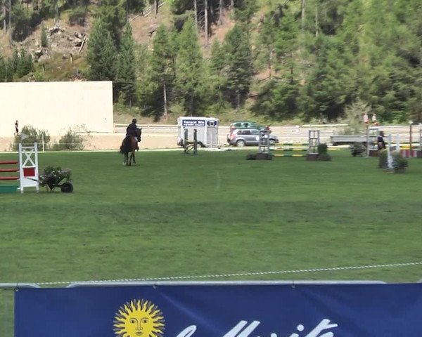 Sommer Concours Hippique St. Moritz 2018