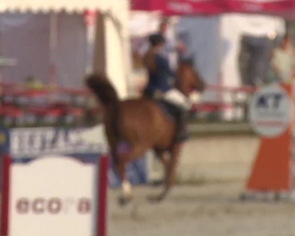 Reitturnier Grafenrheinfeld 2018