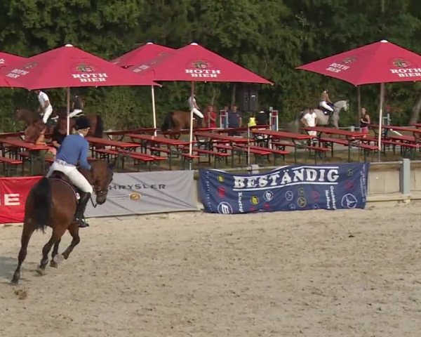Reitturnier Grafenrheinfeld 2018