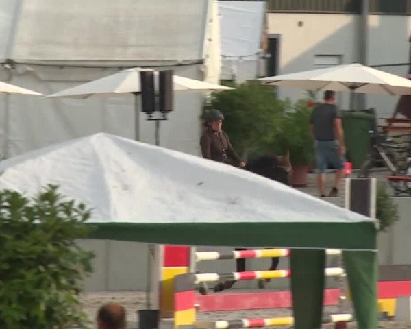 Reitturnier Grafenrheinfeld 2018