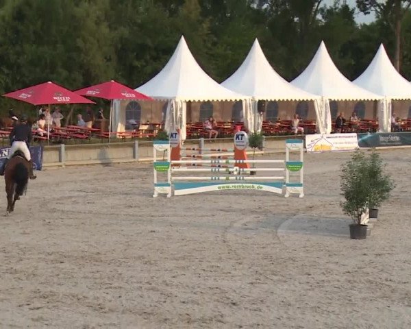 Reitturnier Grafenrheinfeld 2018