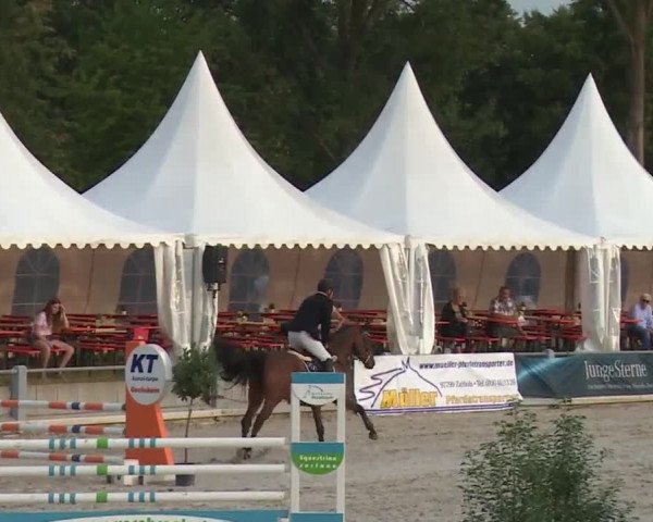 Reitturnier Grafenrheinfeld 2018