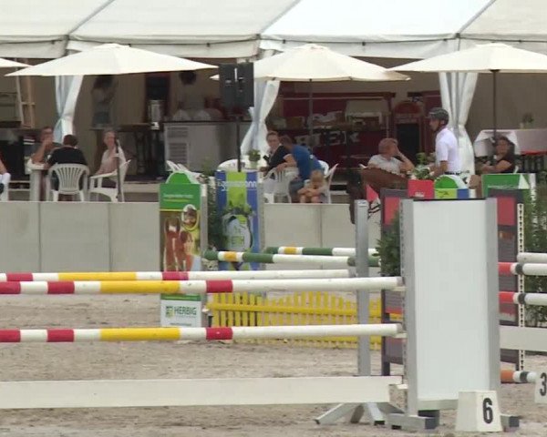 Reitturnier Grafenrheinfeld 2018