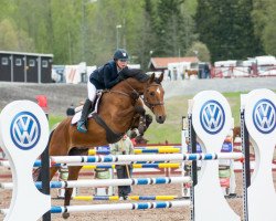 broodmare Demoiselle Du Ri d'Asse (Belgian Warmblood, 2003, from Toulon)