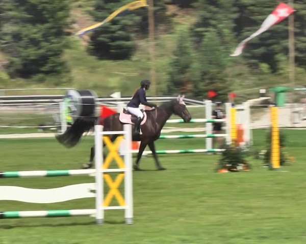 Sommer Concours Hippique St. Moritz 2018