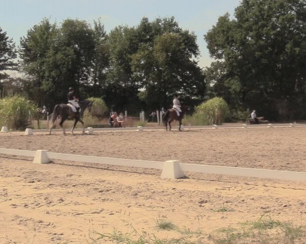 Reitturnier Olfen-Vinnum 2018