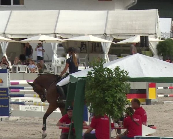 Reitturnier Grafenrheinfeld 2018