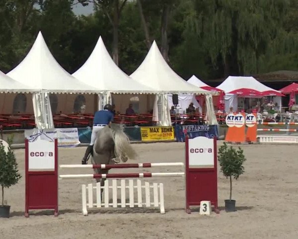 Reitturnier Grafenrheinfeld 2018