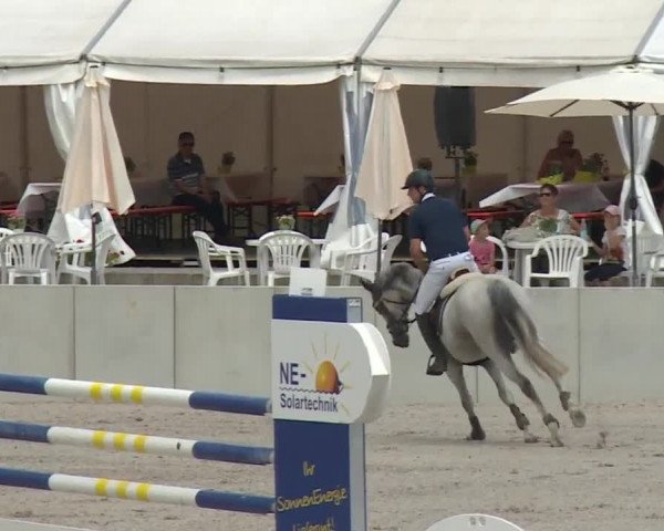 Reitturnier Grafenrheinfeld 2018