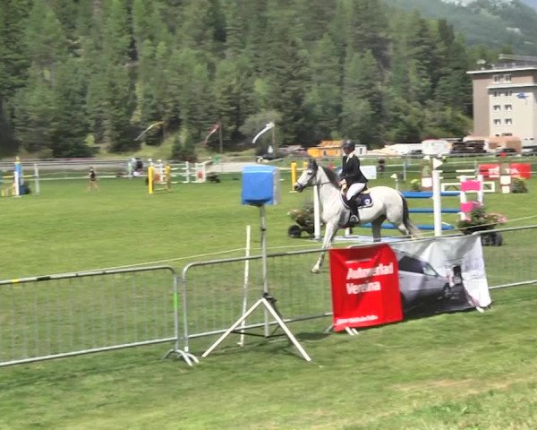 Sommer Concours Hippique St. Moritz 2018