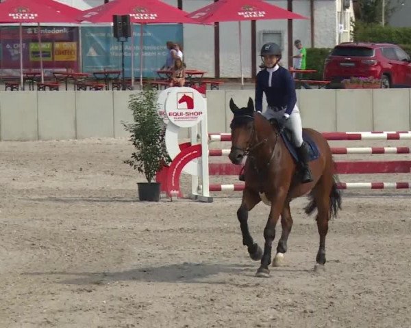 Reitturnier Grafenrheinfeld 2018