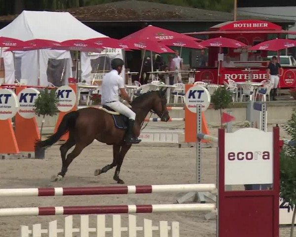 Reitturnier Grafenrheinfeld 2018