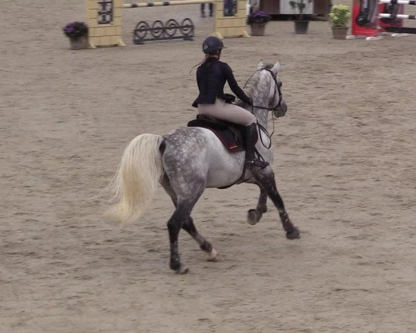 Reitturnier Westergellersen 2021