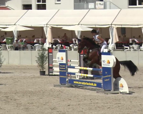 Reitturnier Grafenrheinfeld 2018