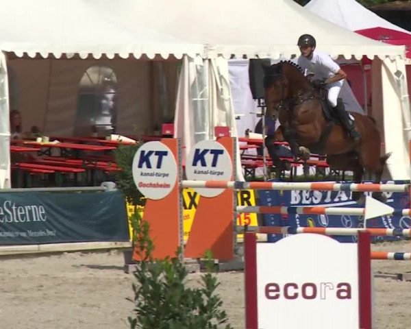 Reitturnier Grafenrheinfeld 2018