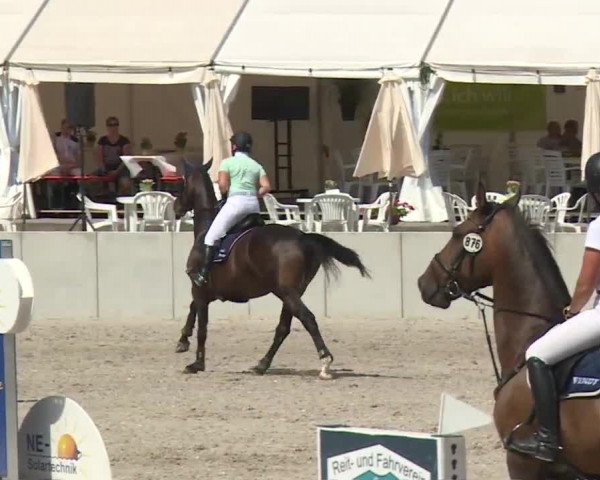 Reitturnier Grafenrheinfeld 2018