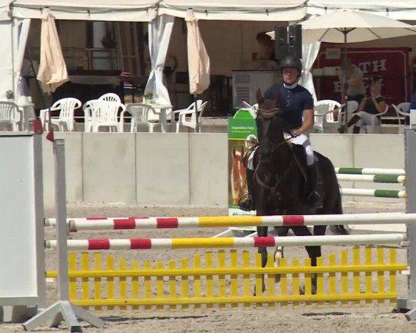Reitturnier Grafenrheinfeld 2018