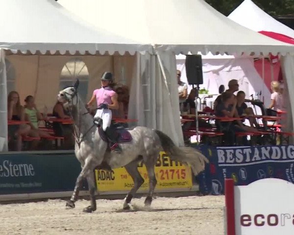 Reitturnier Grafenrheinfeld 2018