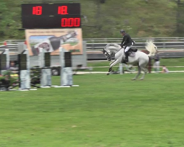 Sommer Concours Hippique St. Moritz 2018