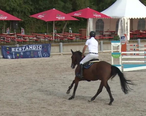 Reitturnier Grafenrheinfeld 2018