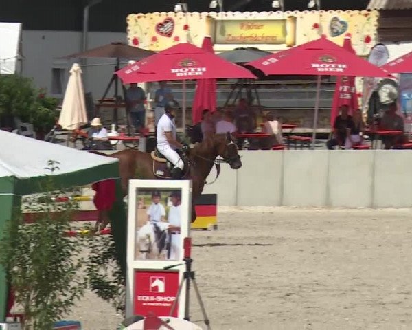 Reitturnier Grafenrheinfeld 2018