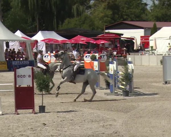 Reitturnier Grafenrheinfeld 2018