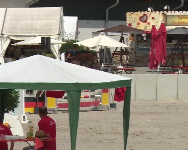 Reitturnier Grafenrheinfeld 2018