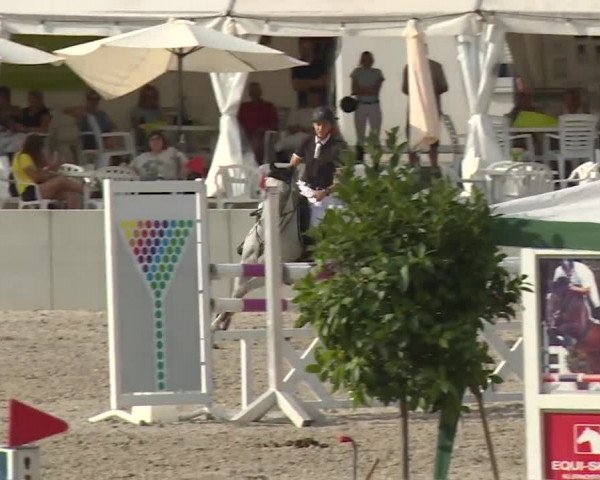 Reitturnier Grafenrheinfeld 2018