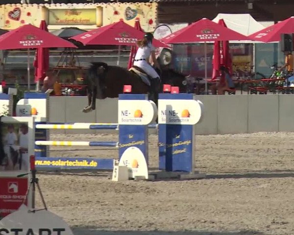 Reitturnier Grafenrheinfeld 2018
