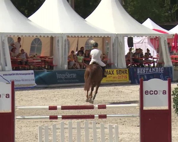 Reitturnier Grafenrheinfeld 2018