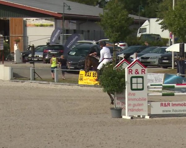 Reitturnier Grafenrheinfeld 2018