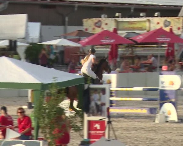 Reitturnier Grafenrheinfeld 2018
